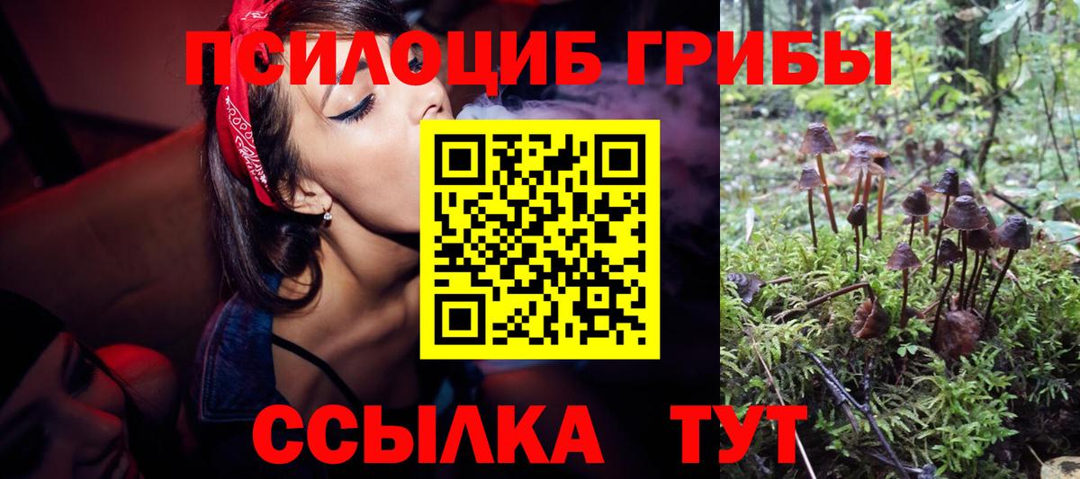Серпухов  наркошоп  Вход с VPN  Псилоцибиновые грибы ЛСД 